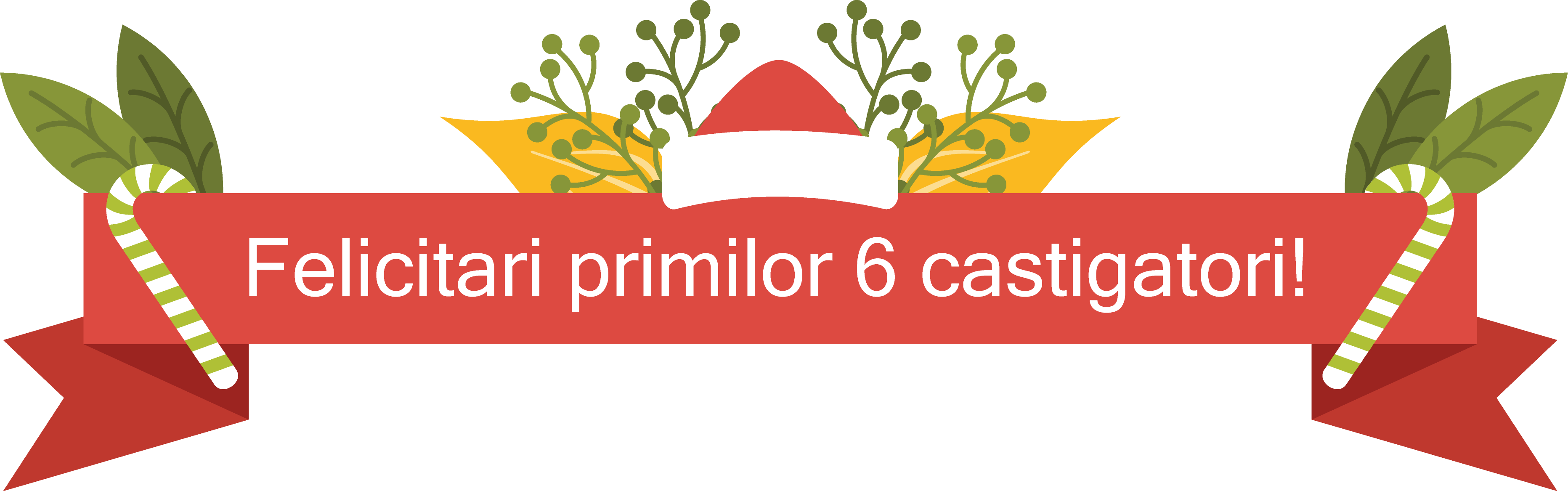 Felicitari primilor 6 castigatori!