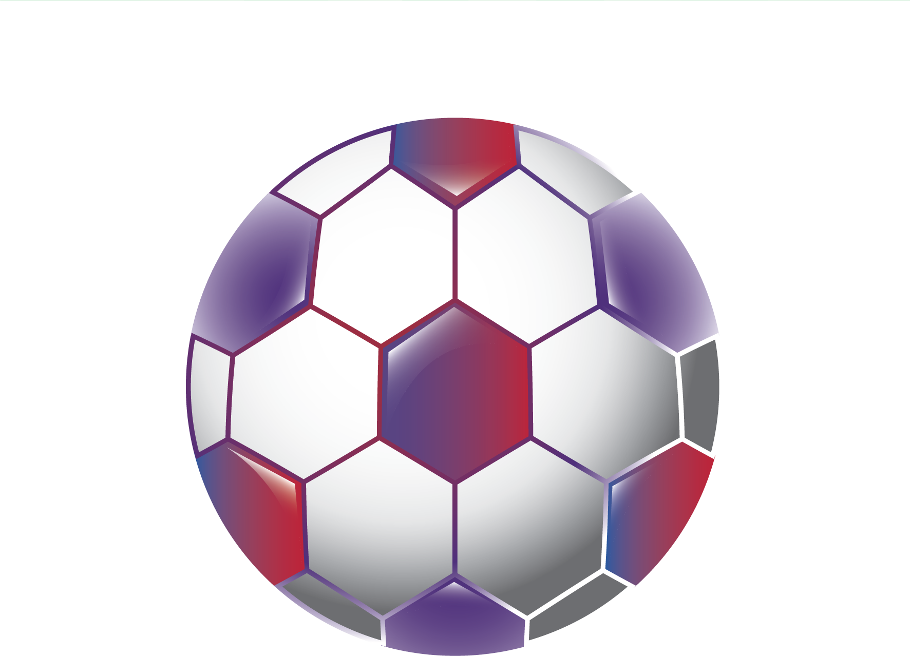 Premiu minge de fotbal